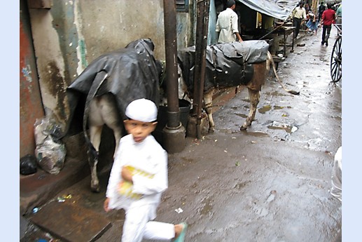 Viaggio in India 2008 - Calcutta